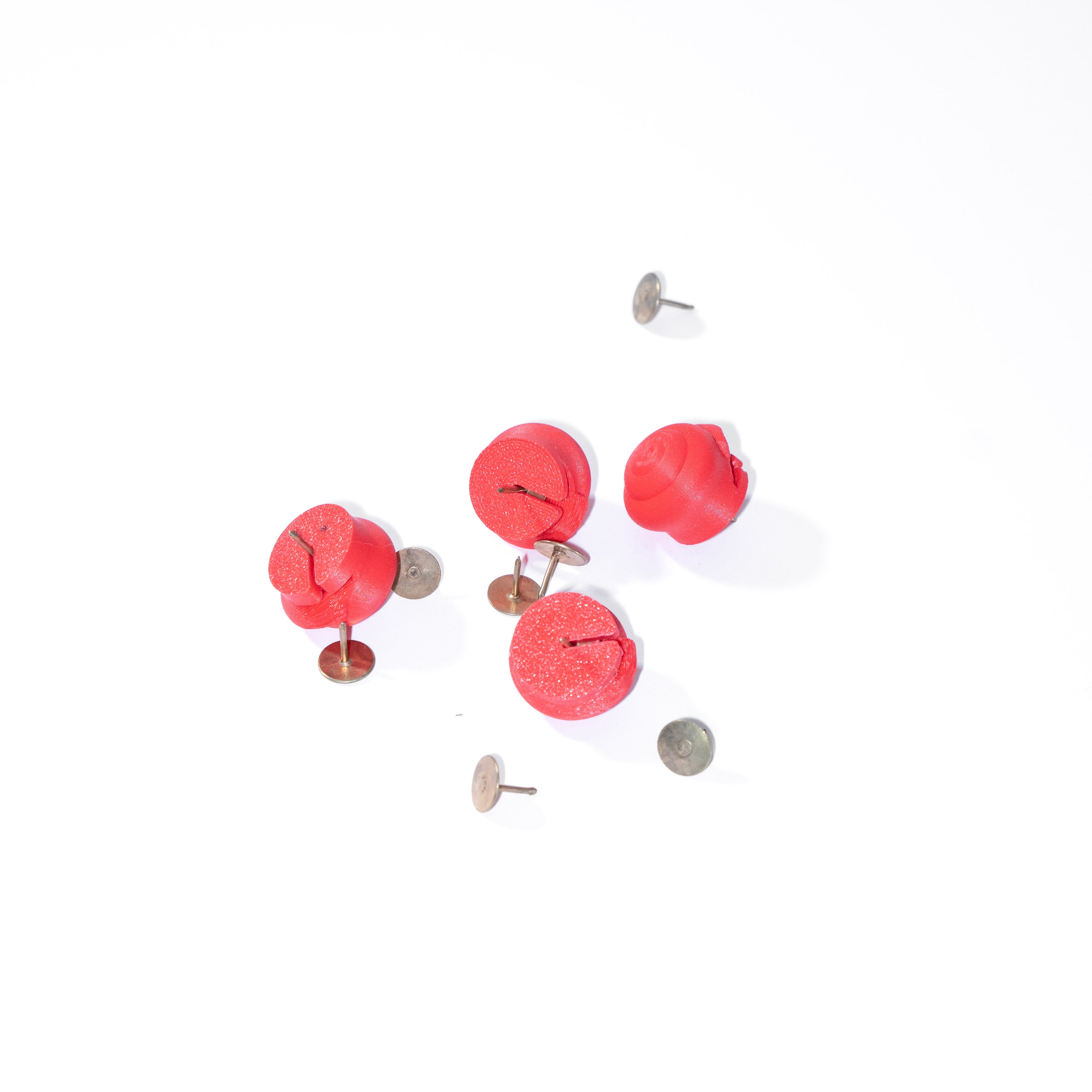 Shellzz - Small Companions for Notes and Memories